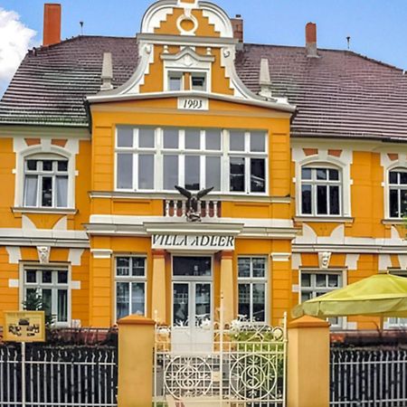 Ferienwohnung Ahlbeck Seebad Heringsdorf  Ngoại thất bức ảnh